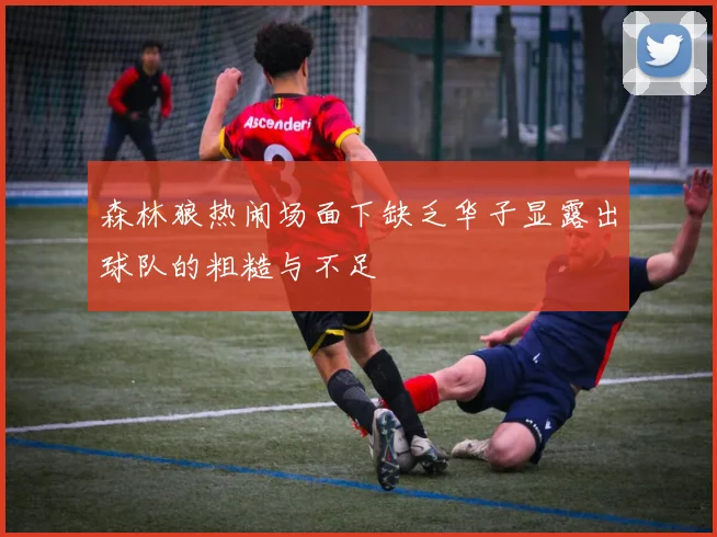 森林狼热闹场面下缺乏华子显露出球队的粗糙与不足