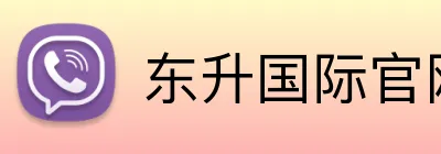 东升国际官网 Logo
